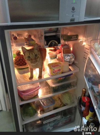 Ремонт холодильников в Орехово-Борисово южном