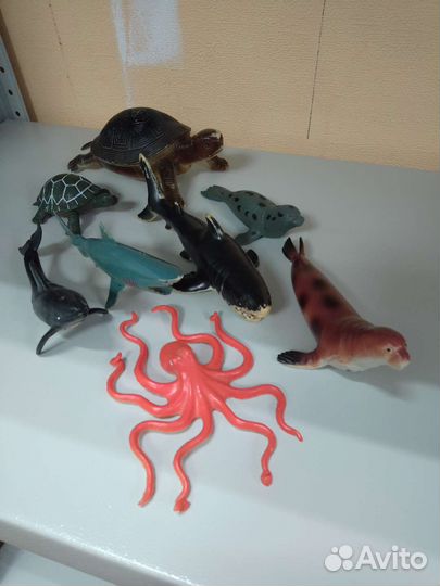 Морские животные