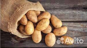 Картошка (цена за куль)