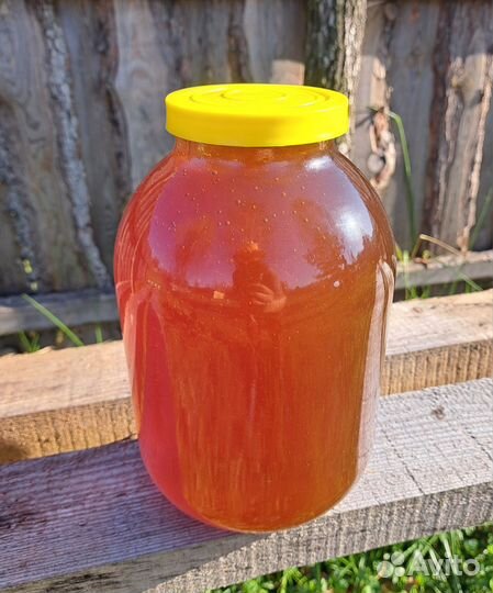 Мёд лесной урожай 2023