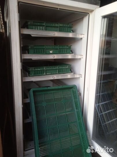 Инкубатор на 500 яиц