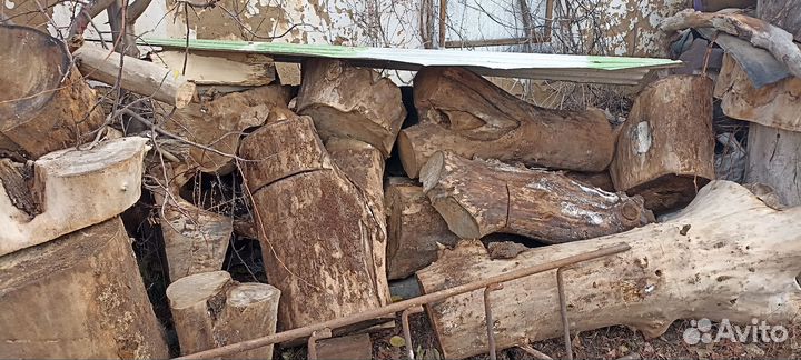 Бревно кругляк,пенёк