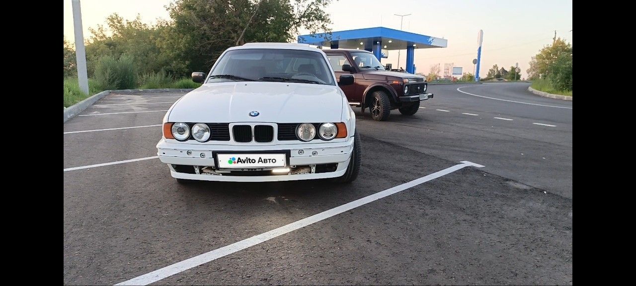 BMW 5 серия: фото владельца