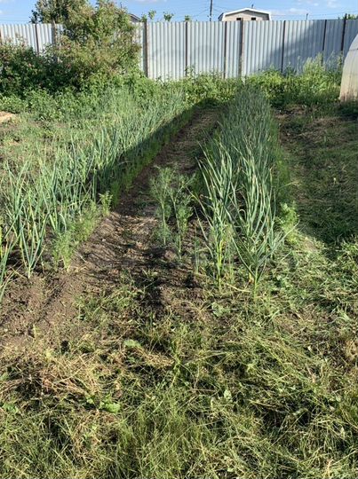 Участок 19,7 сот. (ИЖС)