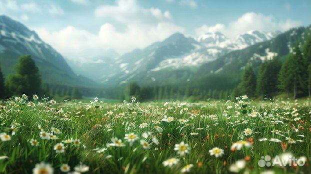 Рисую аватраки с помощью нейросетей