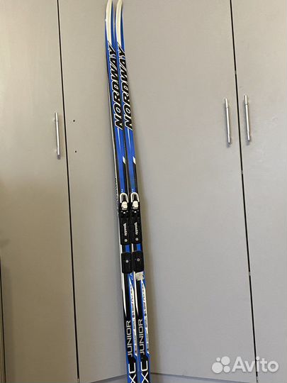 Беговые лыжи