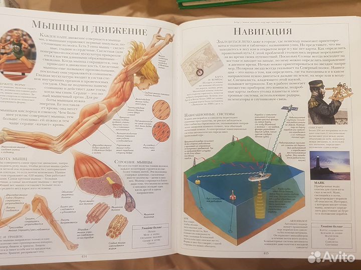 Детская, иллюстрированная энциклопедия