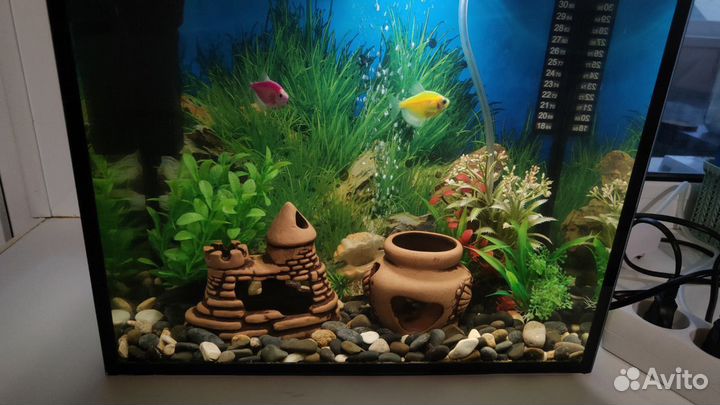 Аквариум