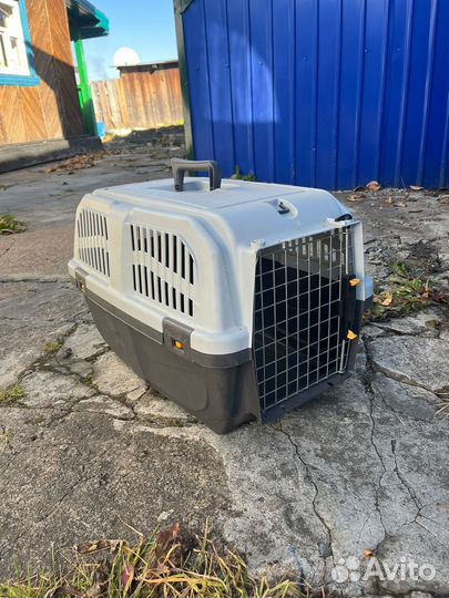Переноска для собак бу