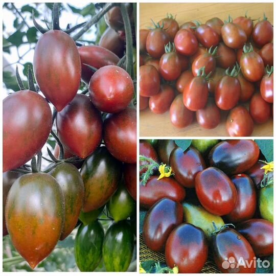 Семена шоколадных и чёрных томатов