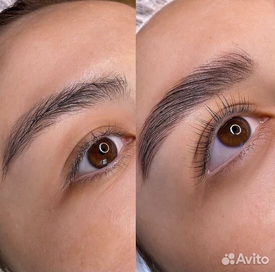 Обучение курс бровист