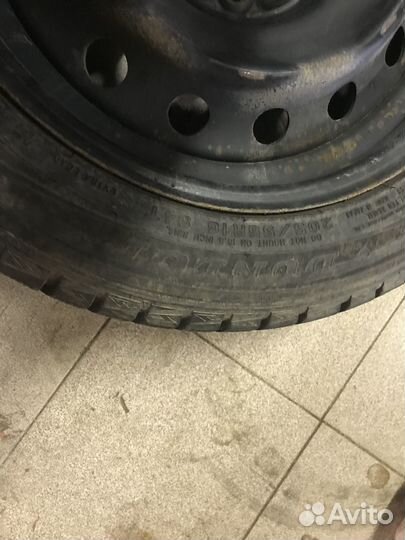 Dunlop Winter Maxx 205/55 R16