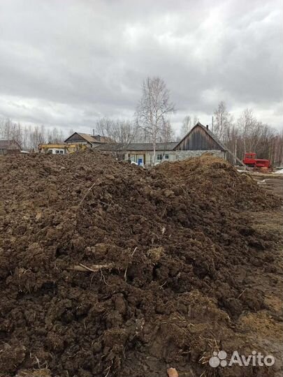 Навоз (Коровий)