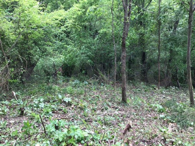 Участок 5,6 сот. (СНТ, ДНП)