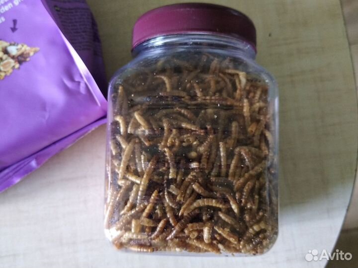 Корм и лакомство для хомяков