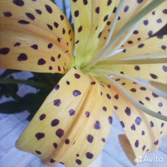 Букет лилий