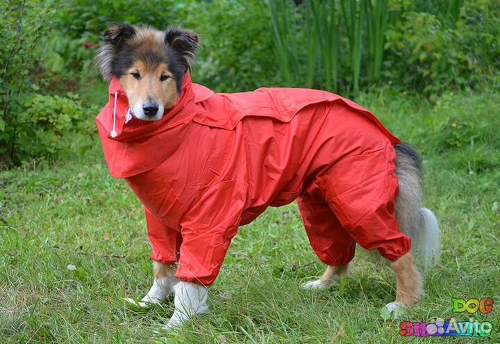 Комбинезон дождевик для собак