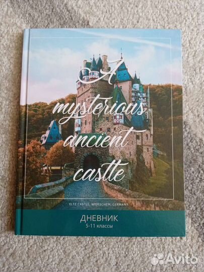 Школьные дневники