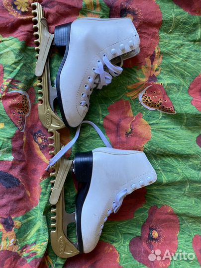 Коньки фигурные nikole