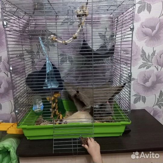 Клетка для грызунов