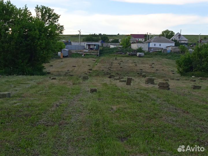 Сено в тюках