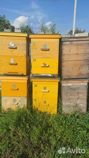 Ульи для пчел