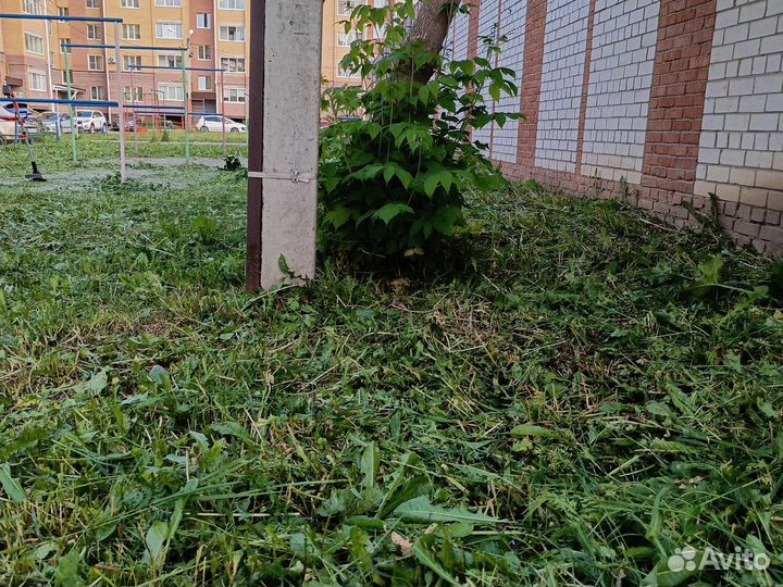 Покос травы триммером