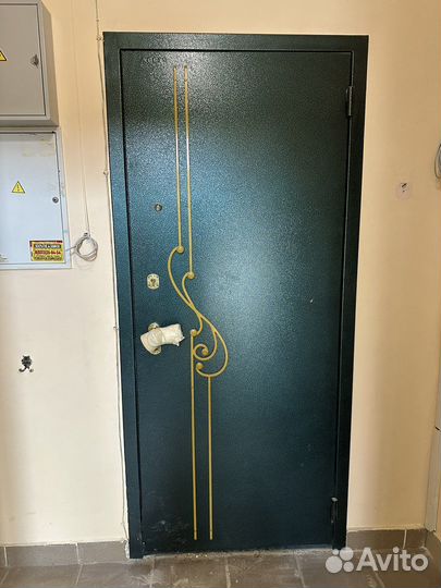 Входная дверь Аргус бу