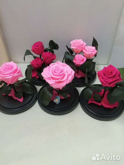 Роза в колбе