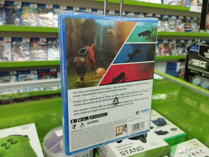 Stray (PlayStation 5)