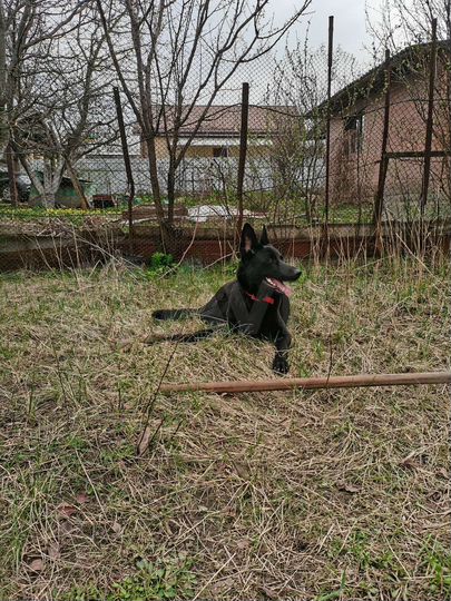 Участок 3 сот. (ИЖС)