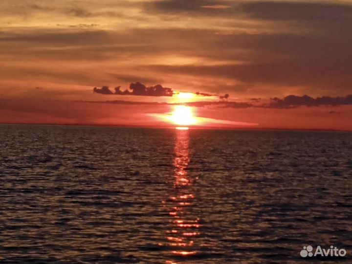 Услуги катера