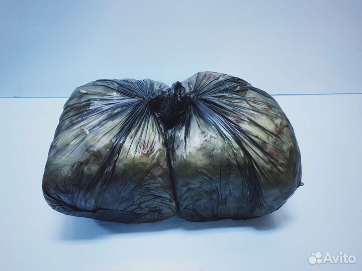 Цыплята суточные на корм животным и другие продукт