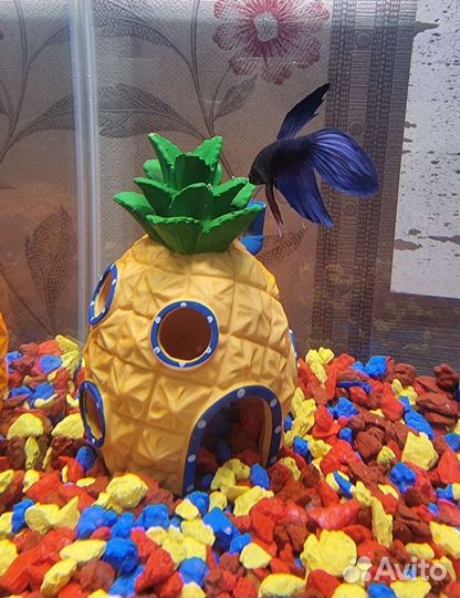 Домик для рыбок