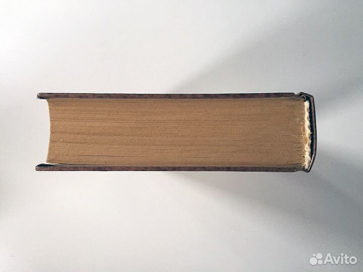 Бернар Эйвельманс - Тайны загадочных зверей