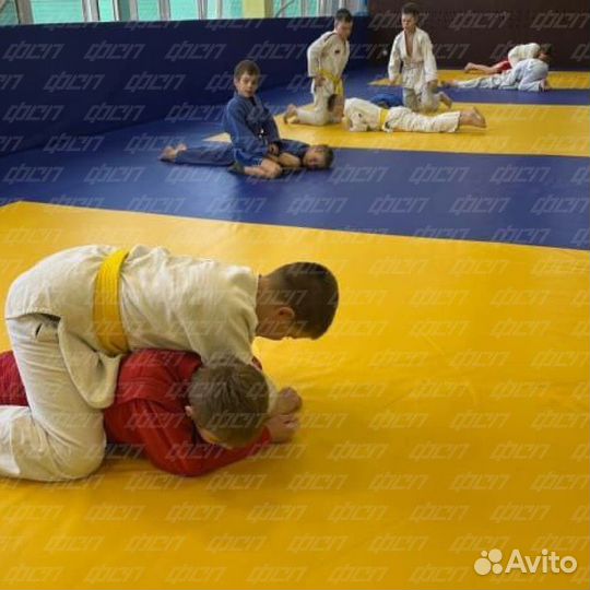 Борцовский ковер