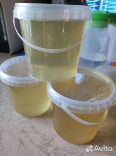 Мёд 2023, белая акация