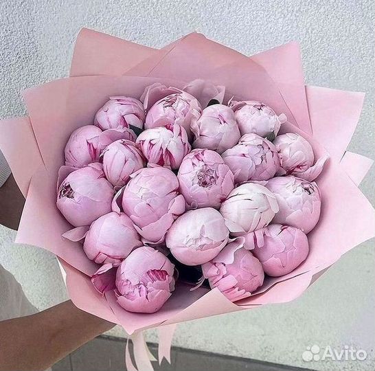 Пионы Букеты Цветы Доставка