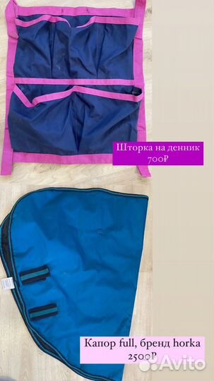 Бриджи, бинты, капор, недоуздок