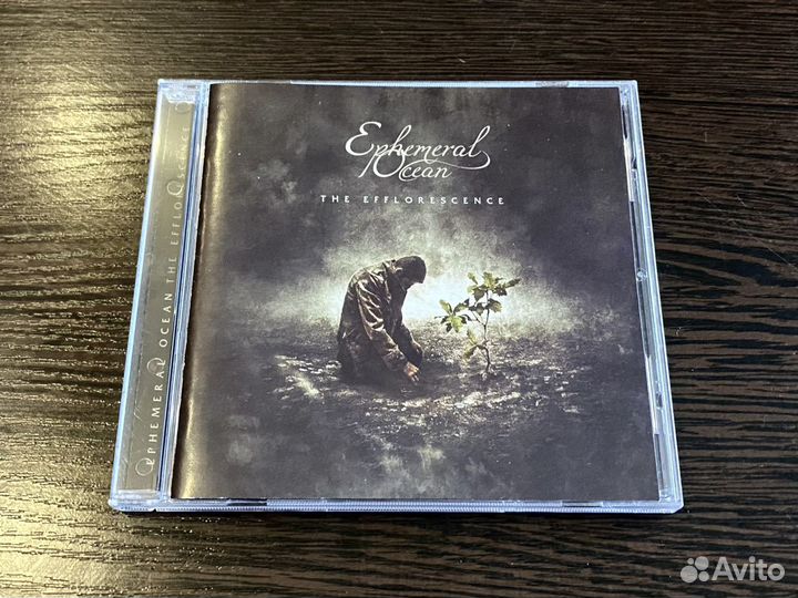 Ephemeral Ocean - The Efflorescence