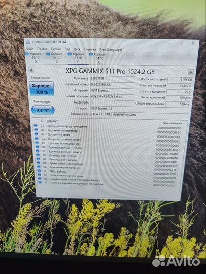 1000 гб SSD M.2 накопитель adata XPG gammix S11Pro