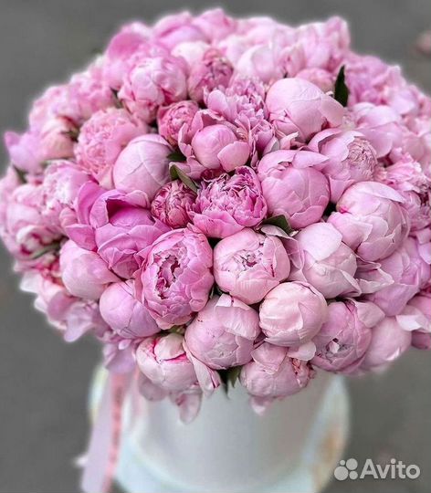 Пионы Букет