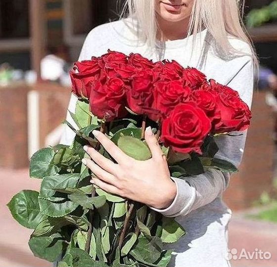 101 роза цветы букеты доставка 25 51 101 роза