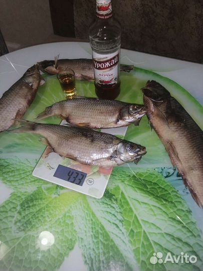 Вобла вяленая(малосол)