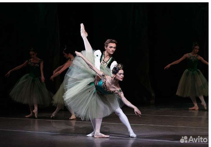 Билеты в театры, цирк, экскурсии