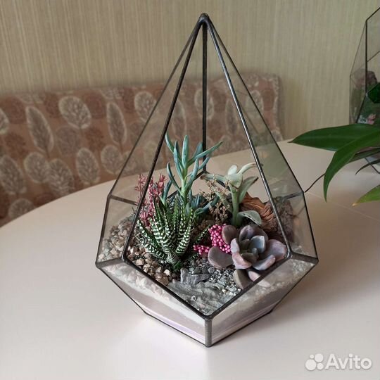 Флорариум капля