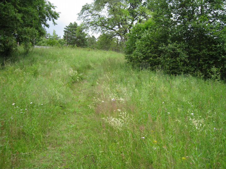 Участок 4,35 га (СНТ, ДНП)