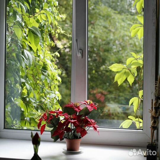 Пластиковые окна на дачу и в дом с отделкой