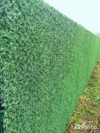 Зеленый забор, изгородь