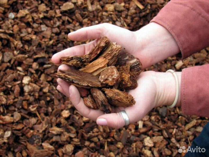 Мульча из коры сибирской лиственницы